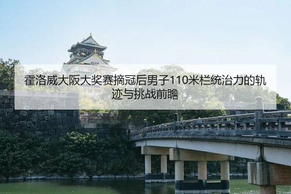 huo-luo-wei-da-ban-da-jiang-sai-zhai-guan-hou-nan-zi-mi-lan-tong-zhi-li-de-gui-ji-yu-tiao-zhan-qian-zhan-2-389.jpg