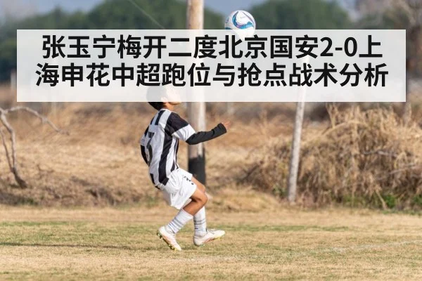 张玉宁梅开二度北京国安2-0上海申花中超跑位与抢点战术分析 - kaiyun