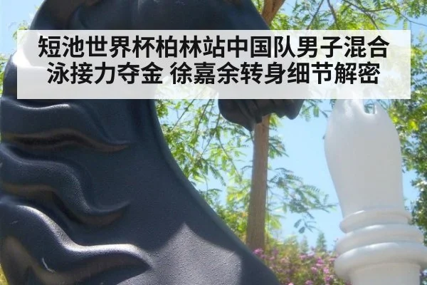 短池世界杯柏林站中国队男子混合泳接力夺金 徐嘉余转身细节解密 - kaiyun